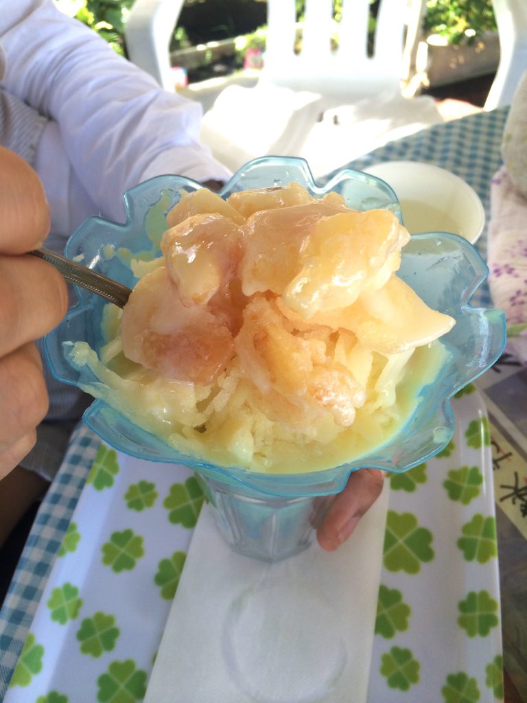  この夏、一番の感動は、土方洋蘭園の丸ごと果肉氷とジェラート。果実氷は苺氷、柿氷、桃氷とあり、どれも完熟した果実を丸ごと凍らせ、それを削ったもの。水で一切薄められていない、丸ごと全部果実でできた贅沢なかき氷はとにかく濃厚でジューシー。苺氷は午前中で完売とのことで桃氷を頂きました。